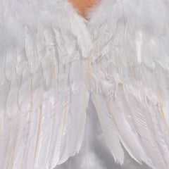 White Angel Wings