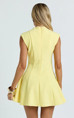 High Neck Sleeveless Fit And Flare Dress in Lemon