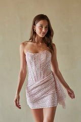 Vivian Corset Sequin Pink Mini Dress