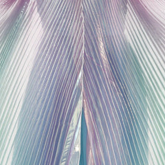 Iridescent Wings